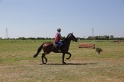 MAT_4017
