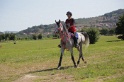 MAT_4039