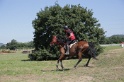MAT_4174