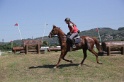 MAT_4184