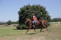 MAT_4190