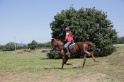 MAT_4191