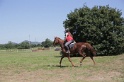 MAT_4192