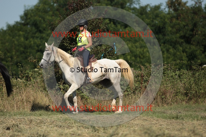 IMGB2120.JPG