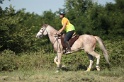 IMGB2184