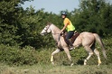 IMGB2185