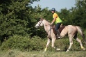IMGB2186