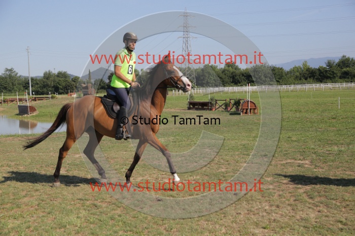 MAT_3582.JPG