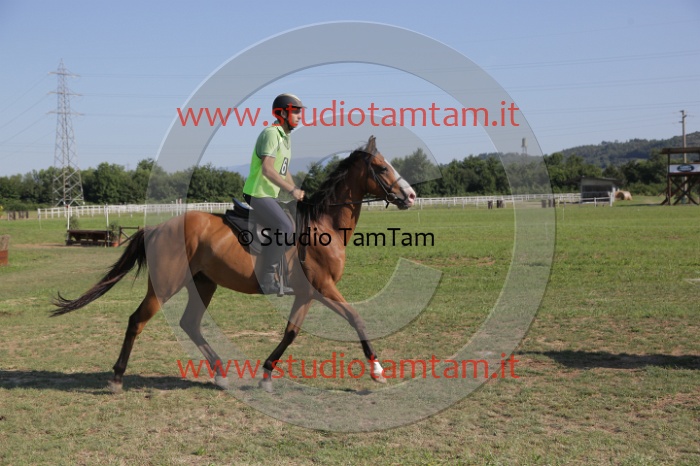 MAT_3584.JPG