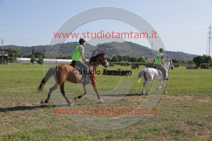 MAT_3589.JPG