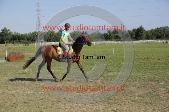 MAT_3700.JPG