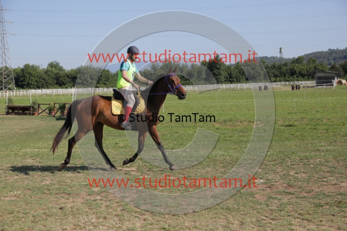 MAT_3701.JPG