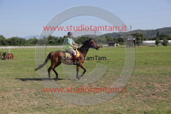 MAT_3703.JPG