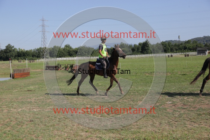 MAT_3704.JPG