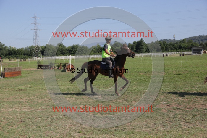 MAT_3705.JPG