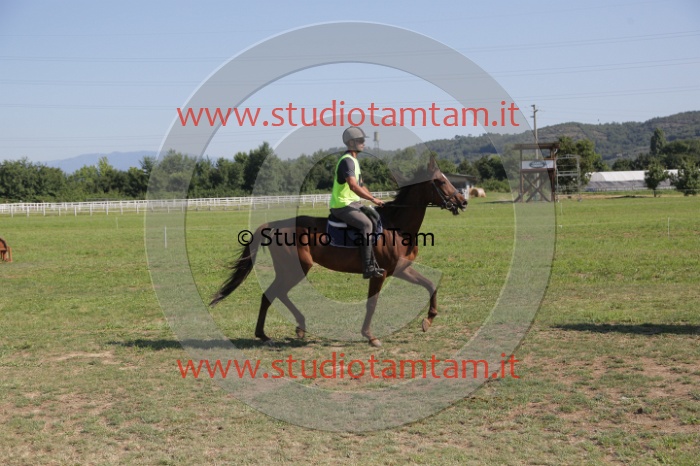 MAT_3707.JPG