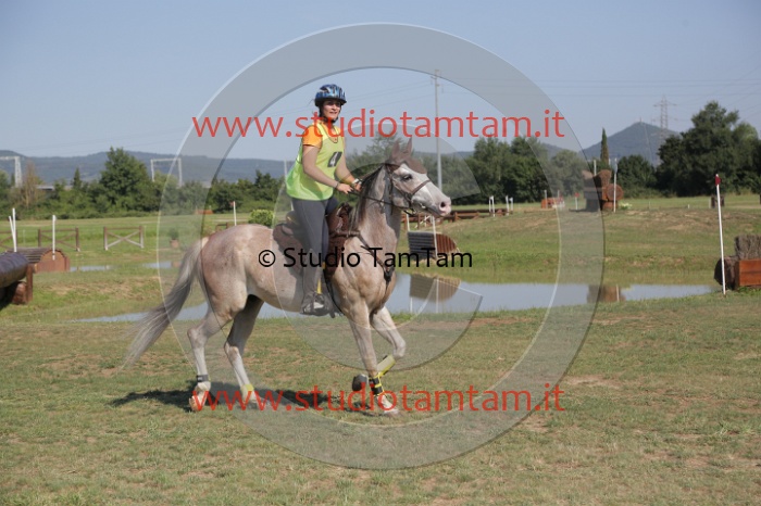 MAT_3727.JPG
