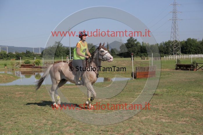 MAT_3728.JPG