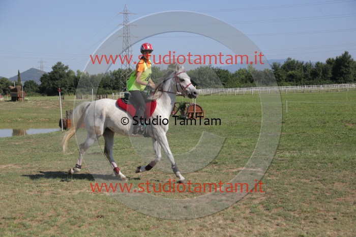 MAT_3730.JPG