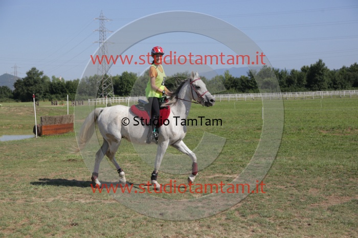 MAT_3731.JPG
