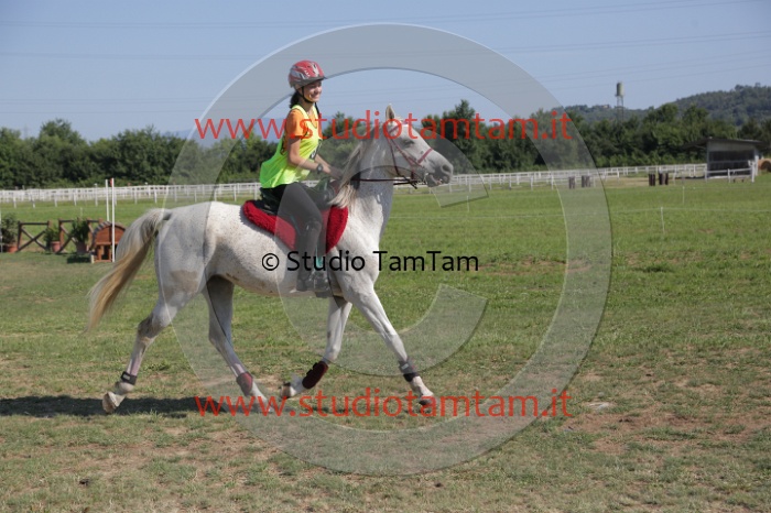 MAT_3732.JPG