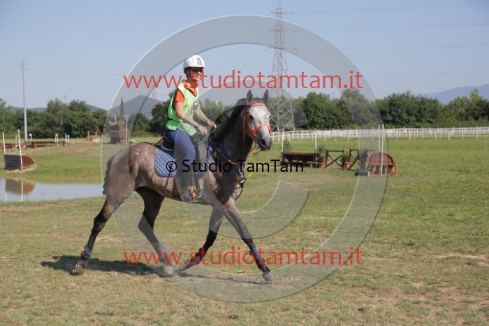 MAT_3746.JPG