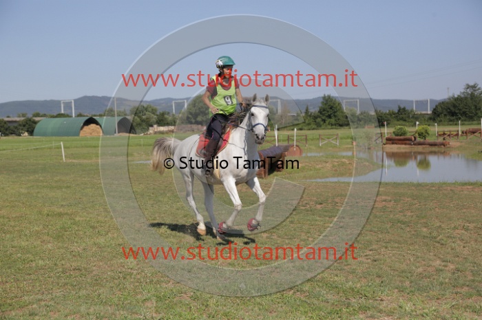 MAT_3788.JPG