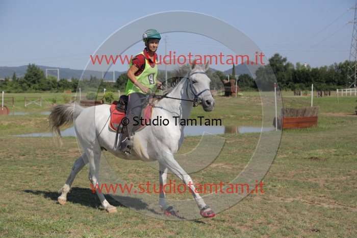 MAT_3790.JPG