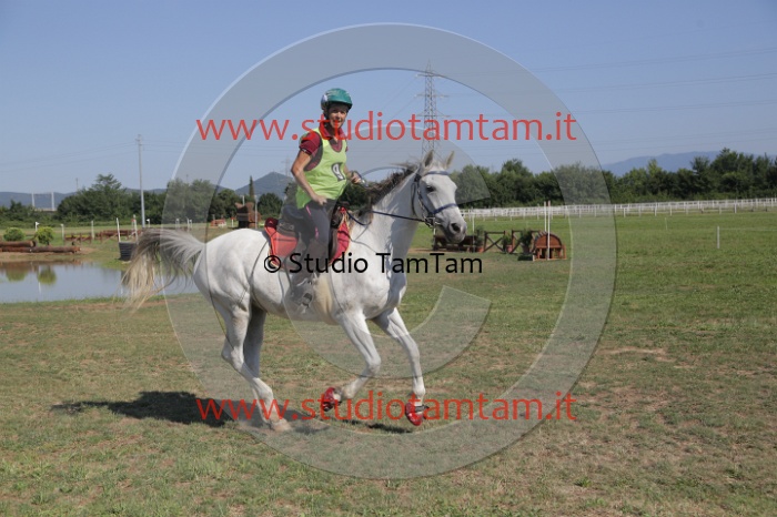 MAT_3791.JPG