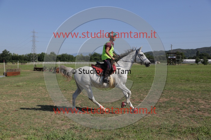 MAT_3793.JPG