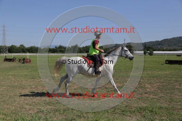 MAT_3794.JPG