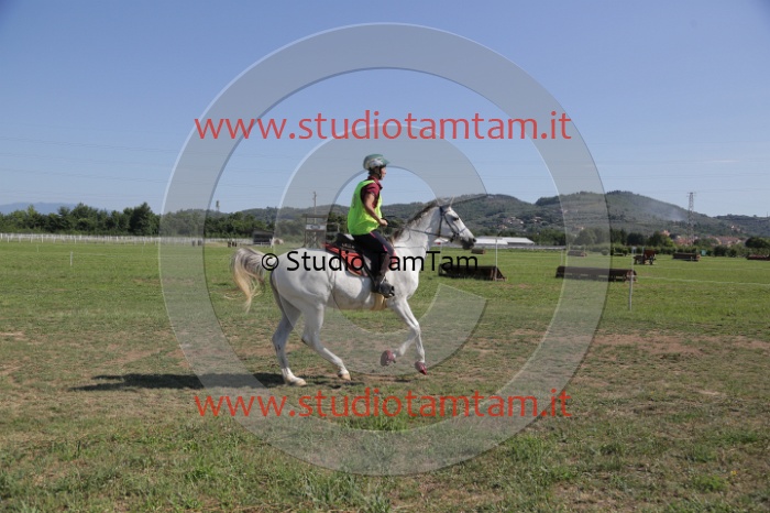 MAT_3795.JPG