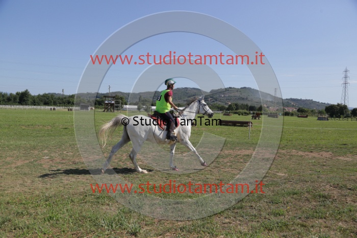 MAT_3796.JPG