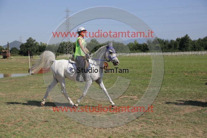 MAT_3830.JPG