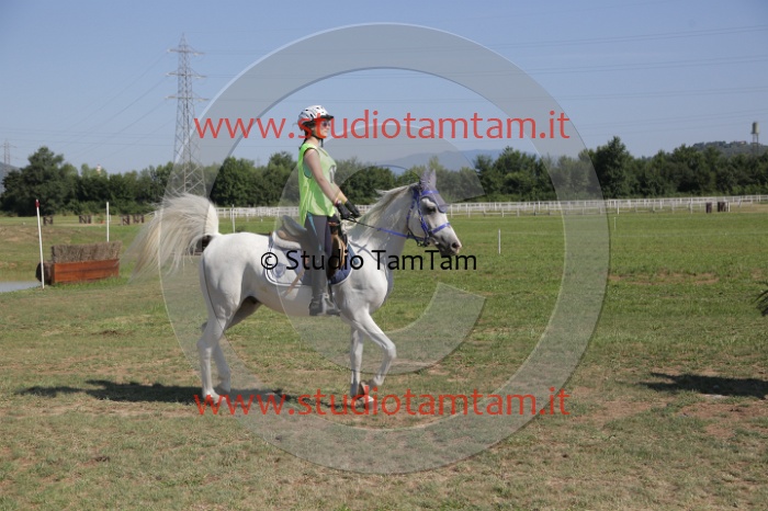 MAT_3831.JPG
