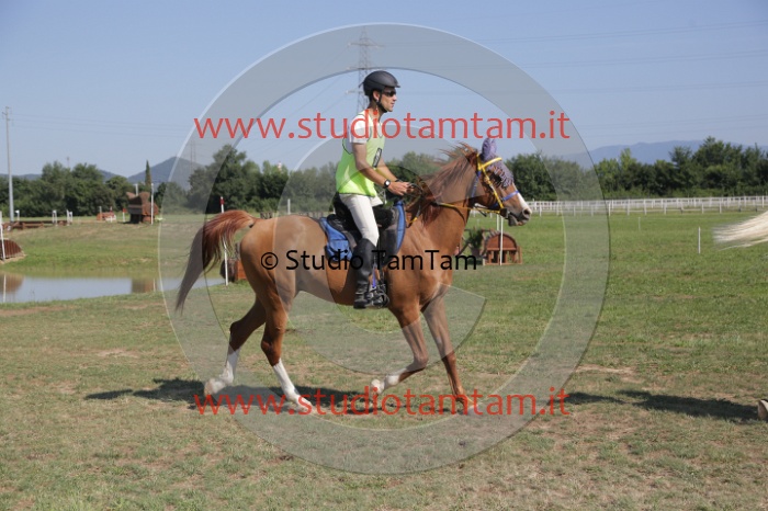 MAT_3832.JPG