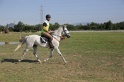 MAT_3580