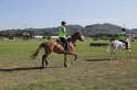 MAT_3588