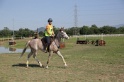 MAT_3729