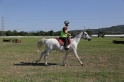 MAT_3794
