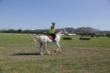MAT_3795