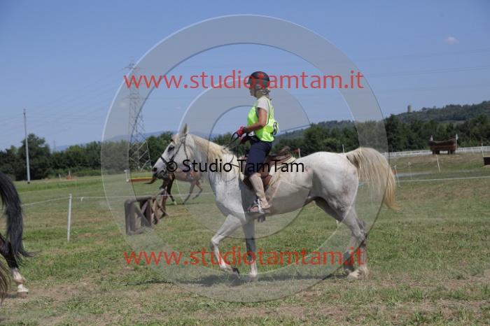 MAT_4267.JPG
