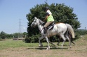MAT_4240
