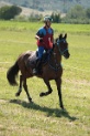 IMGB2363