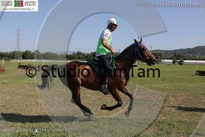 MAT_3693_ridimensionare.jpg