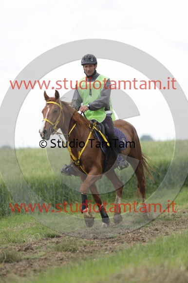 MAT_6172.JPG