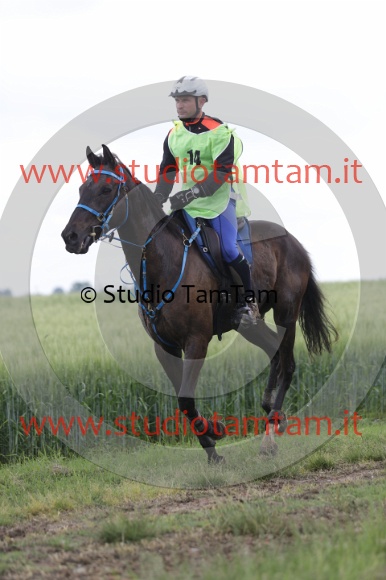 MAT_6209.JPG