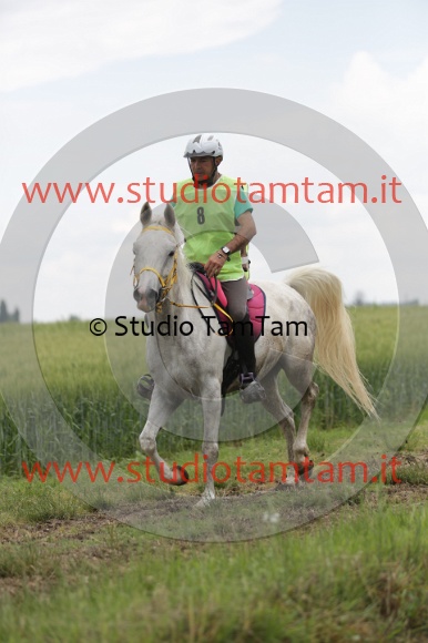 MAT_6238.JPG