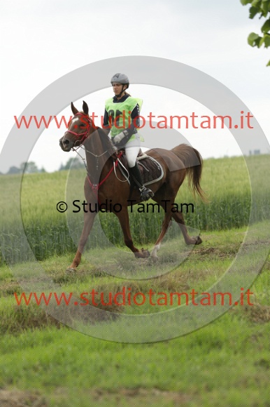 MAT_6287.JPG