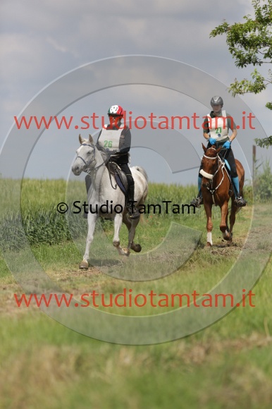 MAT_5886.JPG